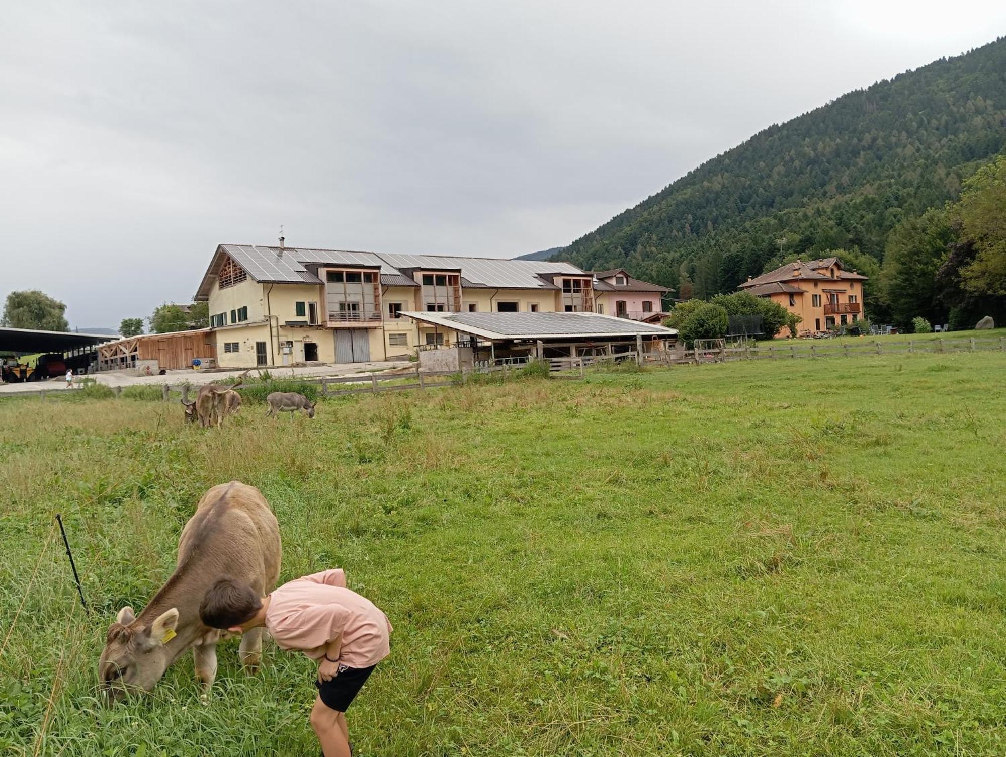 Maso Torbiera- Rural And Mountain Lodging Fiave Exterior photo