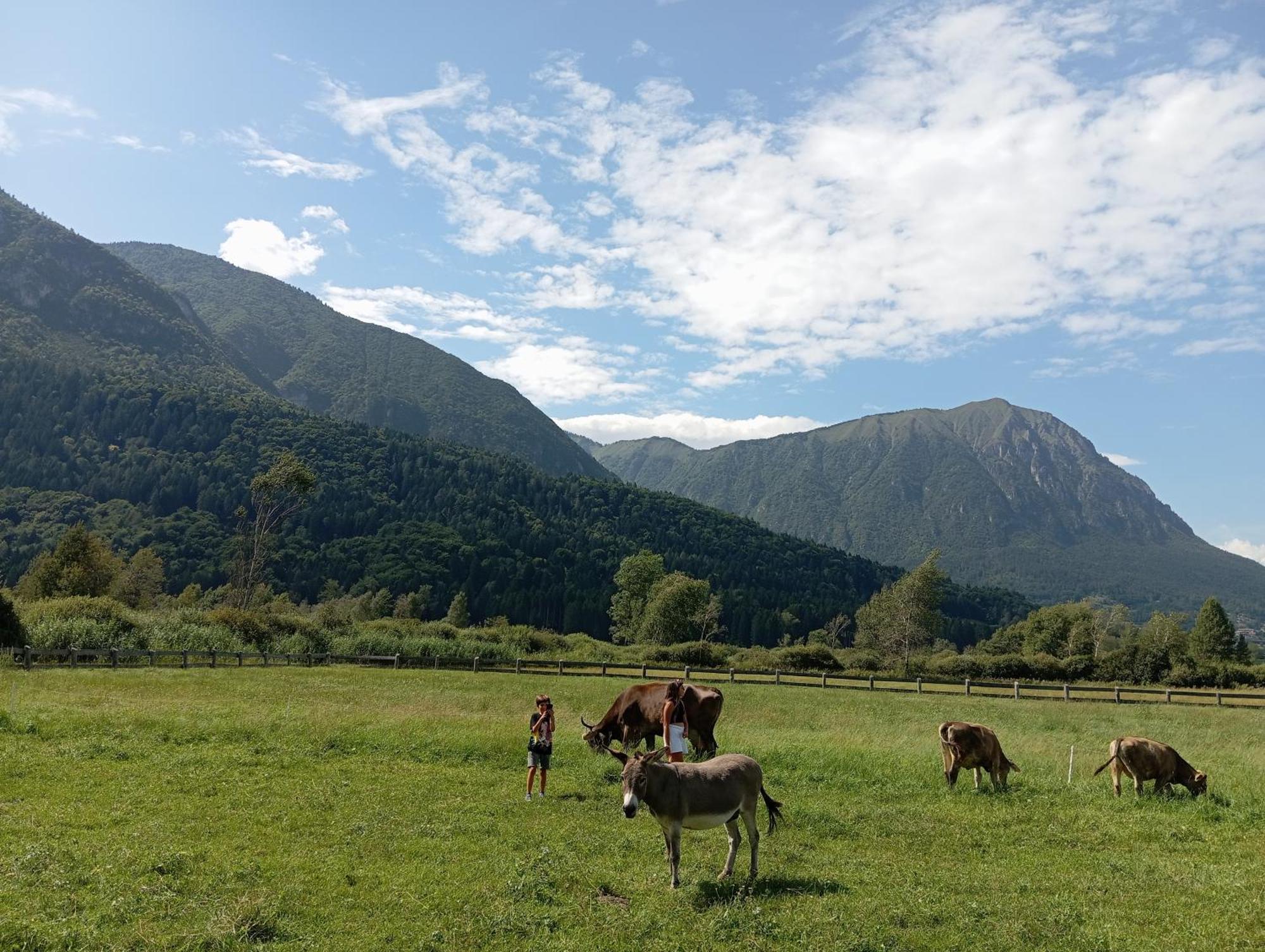 Maso Torbiera- Rural And Mountain Lodging Fiave Exterior photo